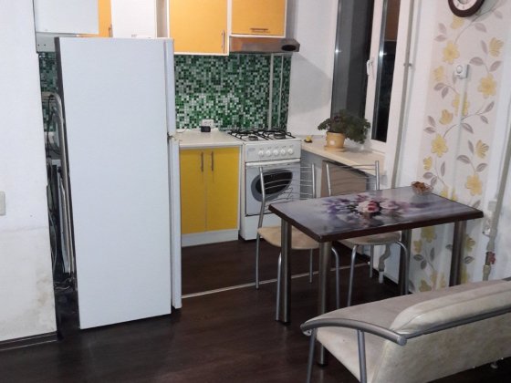 Сдам 1ком. квартиру с видом на дендропарк. Собственник Кропивницкий