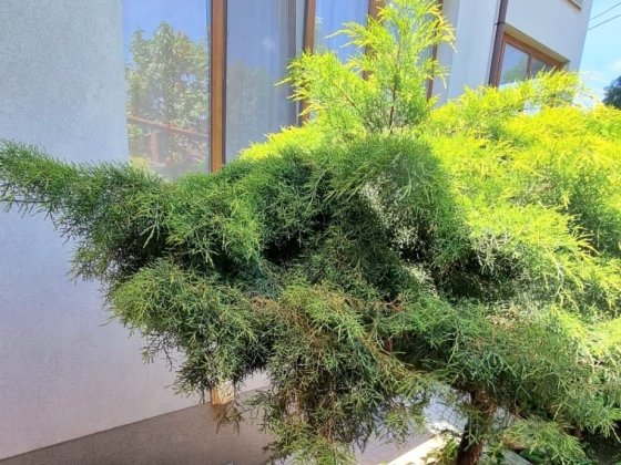 От месяца и дольше. Новострой! 1 к кв. Левый берег. Риелторы не звонит Дніпро