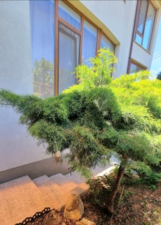 От месяца и дольше. Новострой! 1 к кв. Левый берег. Риелторы не звонит - фото 1