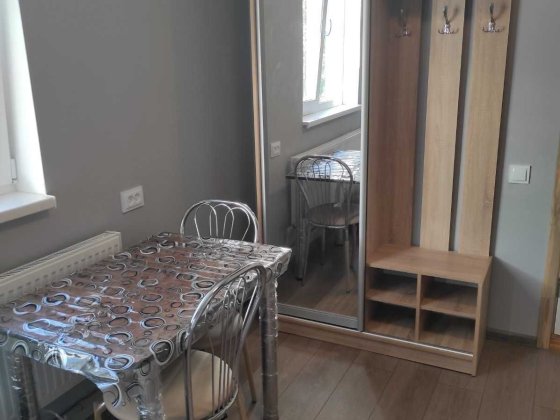 Здам студію 20 кв.м., одна, по вул. Ріхтера, ремонт, меблі, техніка Житомир