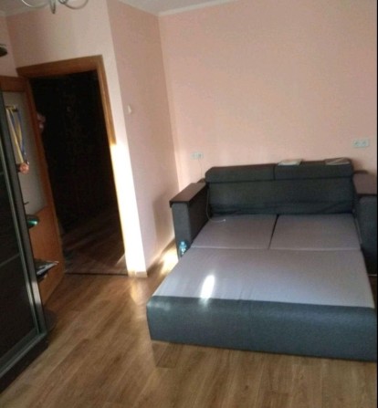 Оренда 1кімнатної квартири Володимира Великого - фото 1