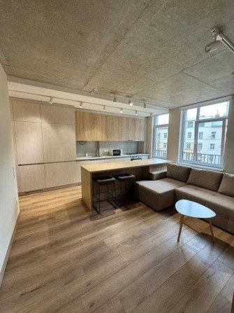 Оренда 1 кімнатної квартири + кухня-студія по вулиці Олени Степанівни - фото 1