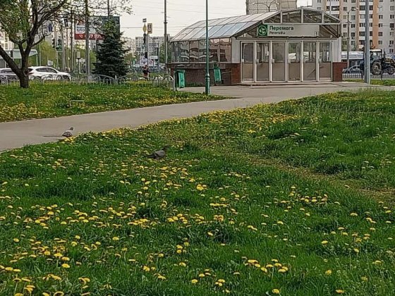 Сдам просторную 2 комнатную квартиру, Метро Победа 3 минуты пешком! Харків