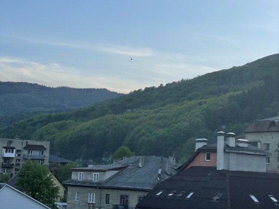 Квартира Рахів, 2 кімнати Рахов