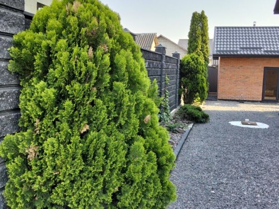 Здам будинок 30 метрів ² Костопіль