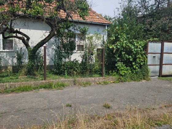 Цікава локація, 900 метрів від термальних басейнів. Берегово