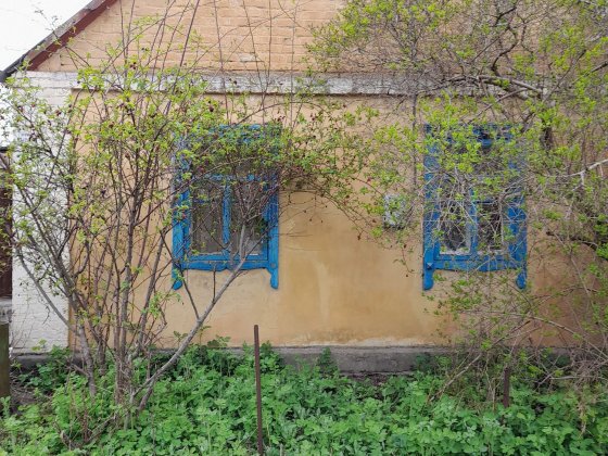 Продаж будинку в селищі Гребінки Білоцерківського р-ну Васильків