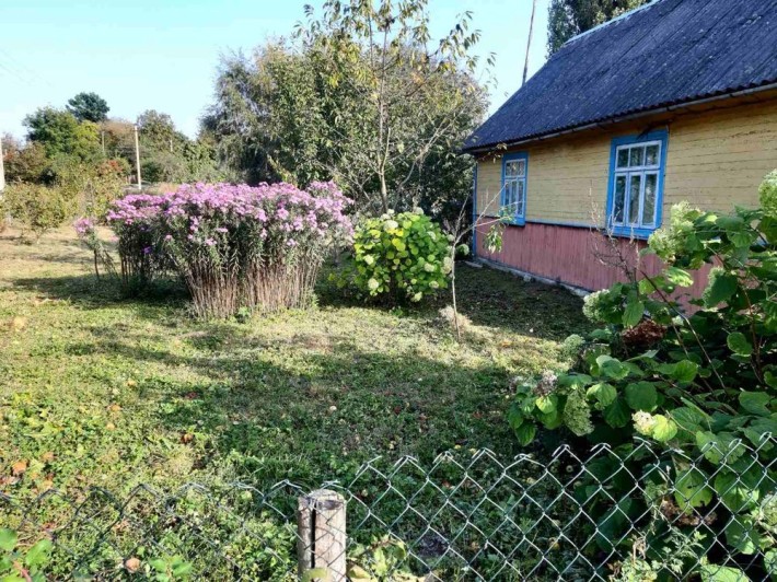 Деревʼяний будинок - фото 1