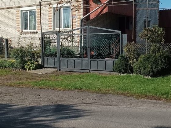 Будинок для великої сім'ї Владимир