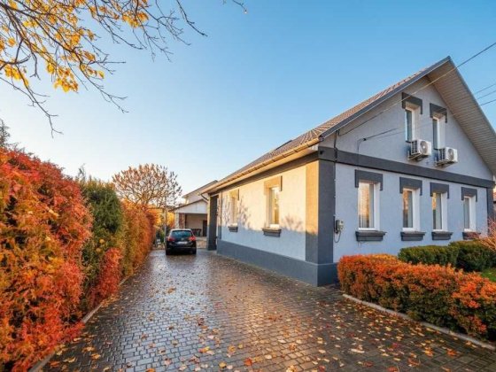 Васильків,центр. Продаж 2 автономних будинків: основний і гостьовий. Васильків