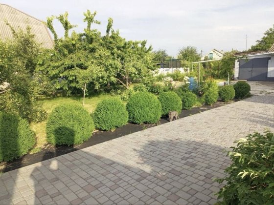 Добротний будинок з ремонтом меблями технікою Романково Каменское