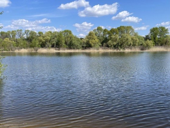 Продам дачу СТ'Днепр" Каменское