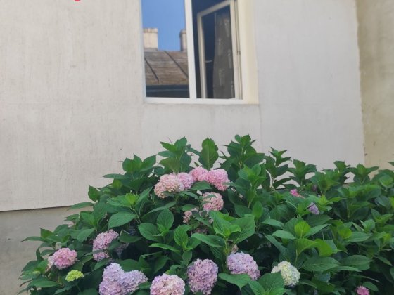 Продаж будинків в Дрогобичі Дрогобич