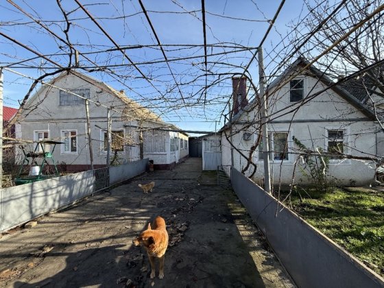 Продам дом в  с.Молодежное (пригород Черноморска Одесской рбо). Чорноморськ