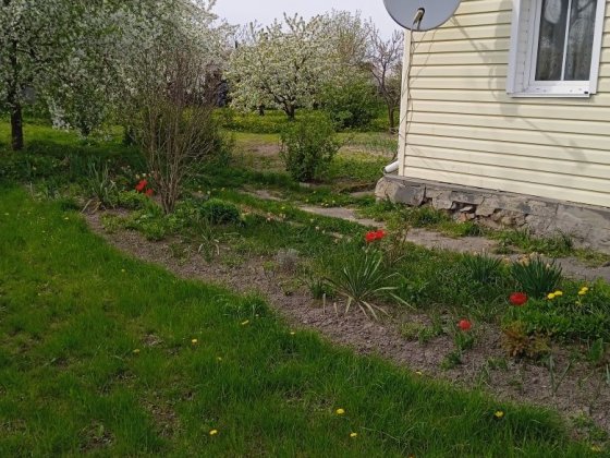 Продається будинок Коростышев