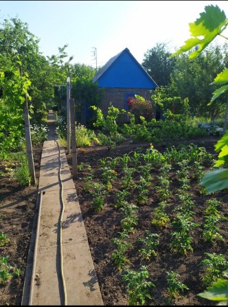 Недвижимость ,Дачи - фото 1