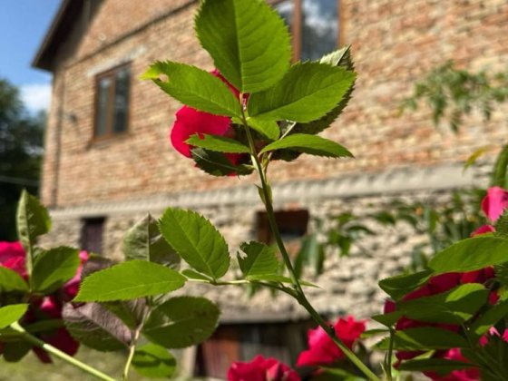 Продаж будинку Кременецький район Кременець