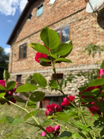 Продаж будинку Кременецький район - фото 1