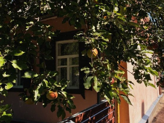 Продам ДОМ г. Лозовая в городе (р-н поликлиники) Лозова