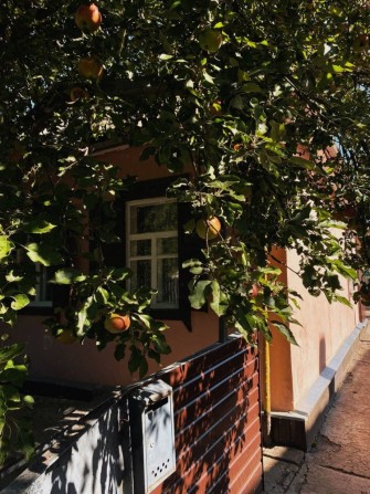 Продам ДОМ г. Лозовая в городе (р-н поликлиники) - фото 1