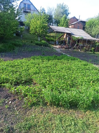 Продам Садовий будинок з земельною ділянкою - фото 1