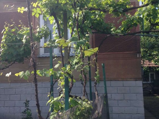 Будинок в Ракошині Мукачево