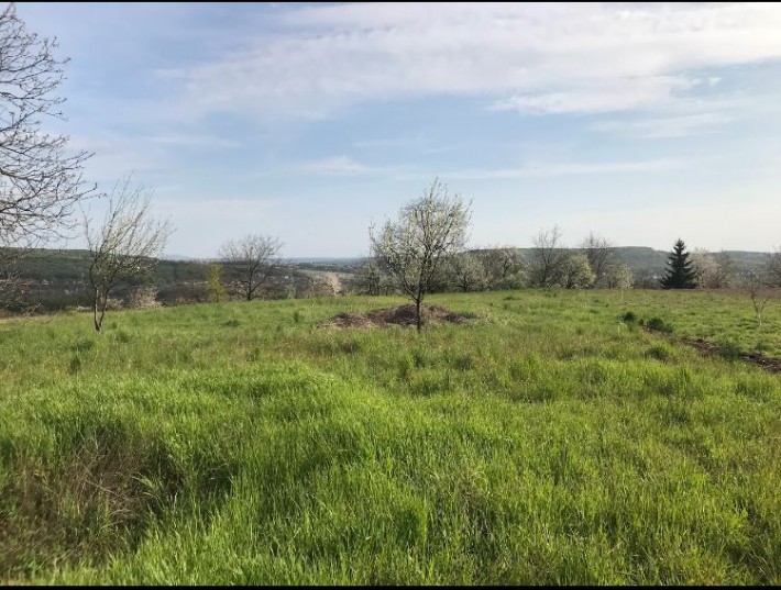 Дім , 33 сотки  5км від Мукачево. Участок - фото 1