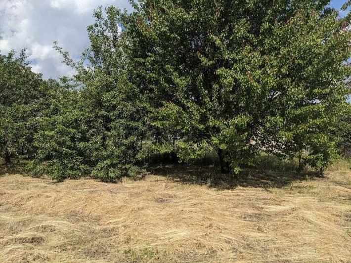 Продаю дачу на РЕШКУТЕ. 09.12.25. - фото 1