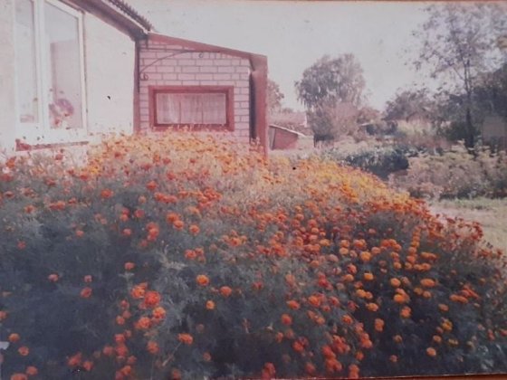 Продам будинок в місті Прилуки або обміняю на квартиру в Прилуках Прилуки