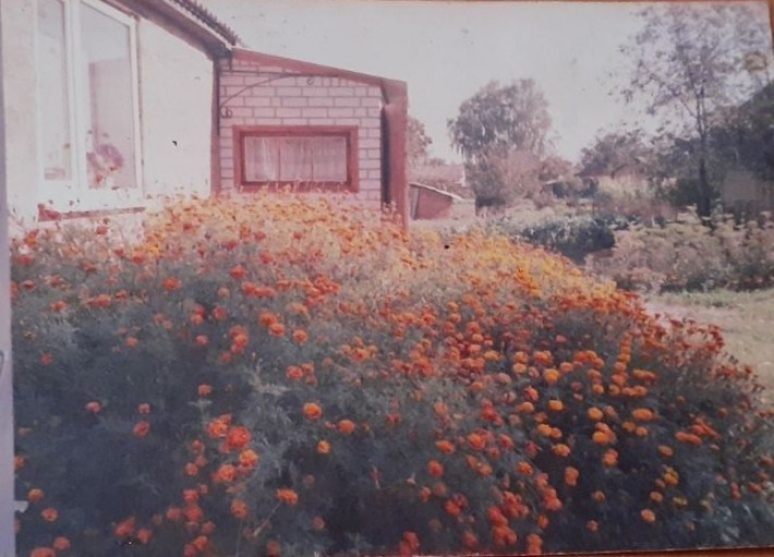 Продам будинок в місті Прилуки або обміняю на квартиру в Прилуках - фото 1