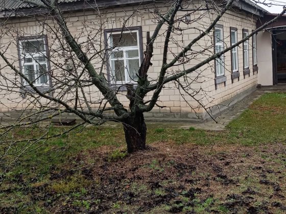 Цегляний будинок з ванною та туалетом, Ротмістрівка Смела