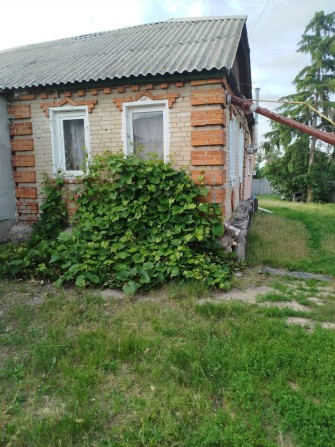 Продам 1/2 дома в Солоницевке - фото 1