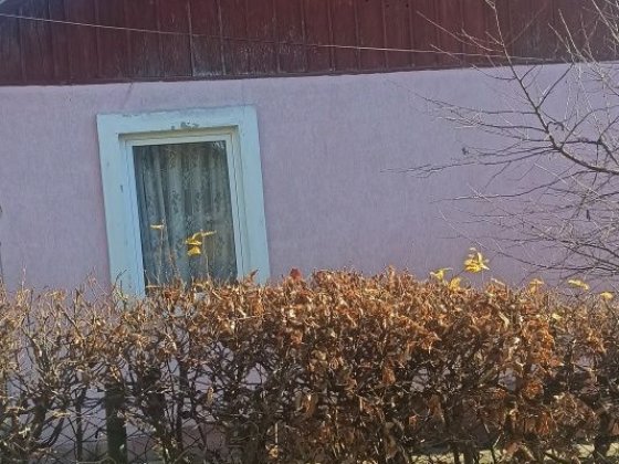 Продається будинок в м. Трускавець Трускавець