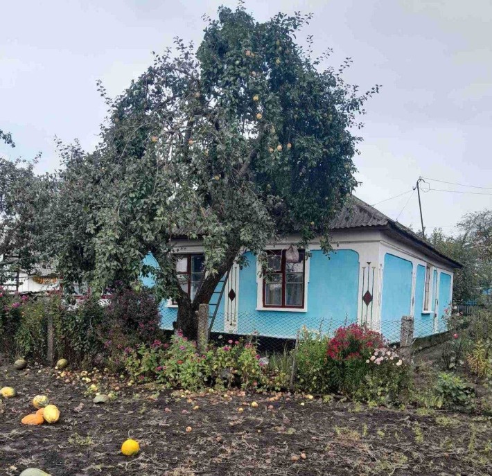 Термово! Продається будинок із земельною ділянкою - фото 1