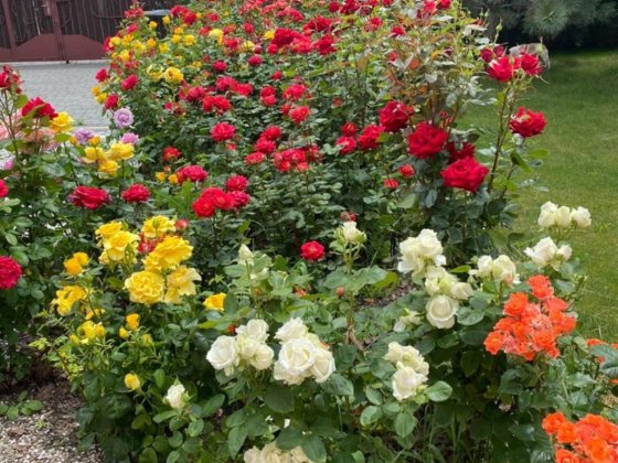 Продам дом в Подгорном Підгородне