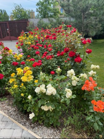 Продам дом в Подгорном - фото 1