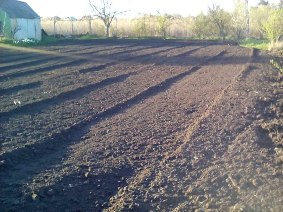 13.6 соток-Продам Дачу,огород,участок Обуховка (Кировское) Обухівка