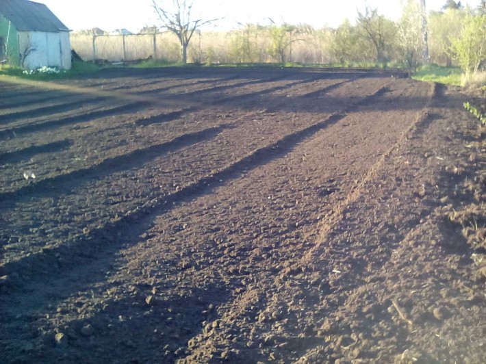 13.6 соток-Продам Дачу,огород,участок Обуховка (Кировское) - фото 1