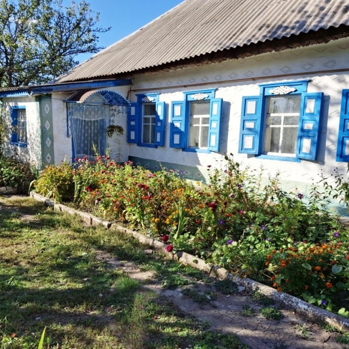 Продам  будинок з великою ділянкою в Єлизаветівці Дніпровського району - фото 1