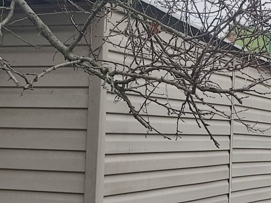 Продам 3 дома на одном участке 8 соток все дома с удобствами есть гара Степное