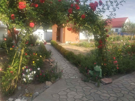 Продам будинок в с. Довжику Довжик