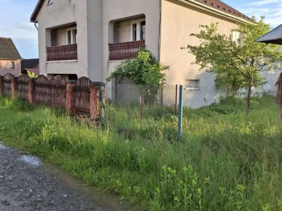 Продаються два будинки + 3 га землі в Карпатах Великий Бычков