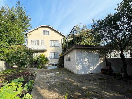 Продам великий будинок, Угорники Угорники