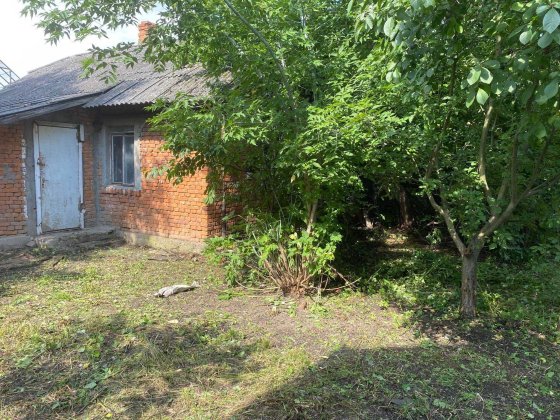 Продається план під забудову місто Тлумач Тлумач