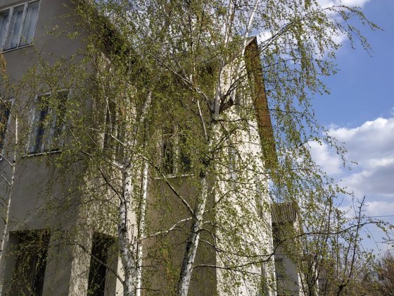 Продаж власного будинку Вишеньки