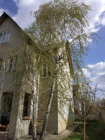 Продаж власного будинку - фото 1