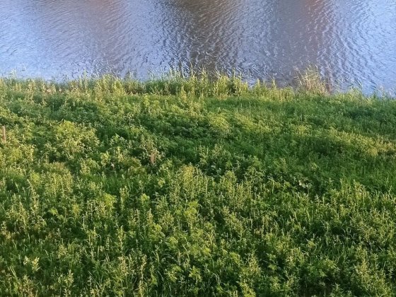 Осокорки будинок з власним виходом на  канал Дніпра Вишенки