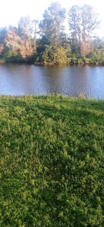 Осокорки будинок з власним виходом на  канал Дніпра - фото 1