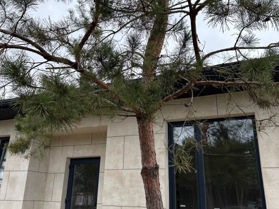 Дуплекс Віта Поштова від забудовника БЕЗ КОМІСІЇ 100м2 3,6 сотки Вита-Почтовая