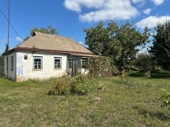 Продається будинок із великою, родючою земельною ділянкою Яготин